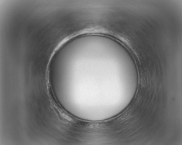 X0000059231366200510140815