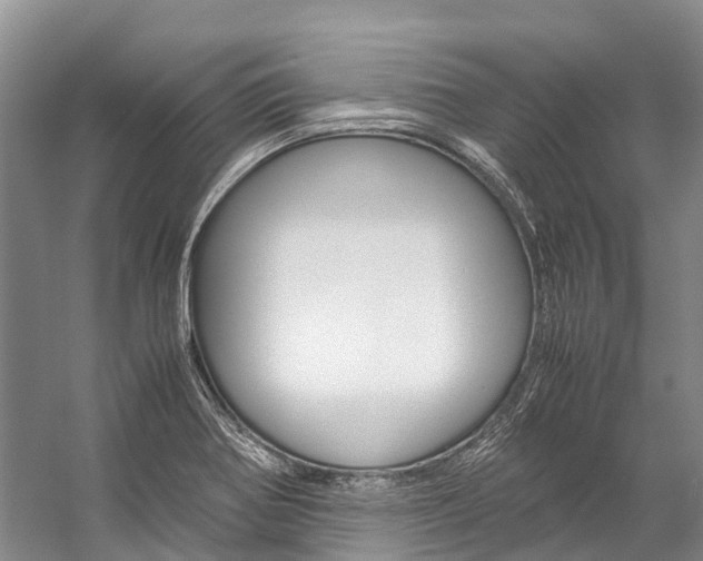 X0000059231370200510140815