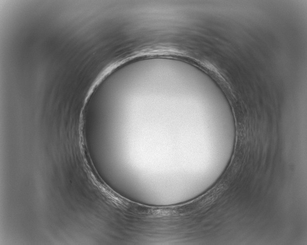 X0000059231374200510140815