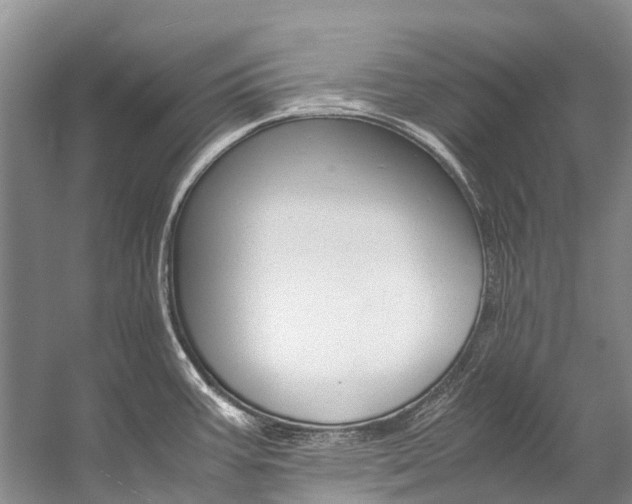X0000059231387200510140815
