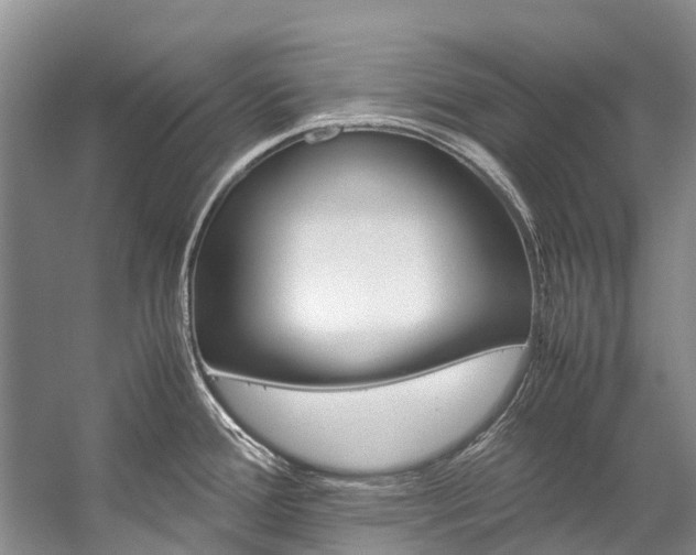 X0000059231388200510140815