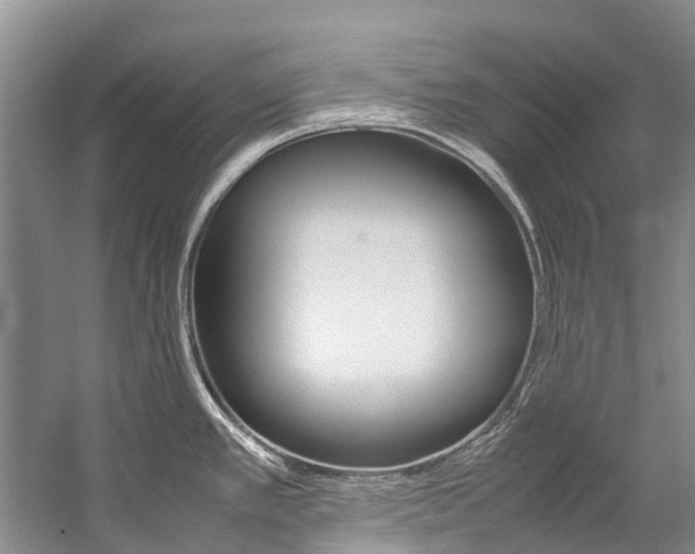 X0000059231389200510140815