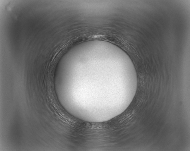X0000059231393200510140814