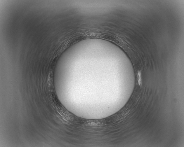 X0000059231395200510140814
