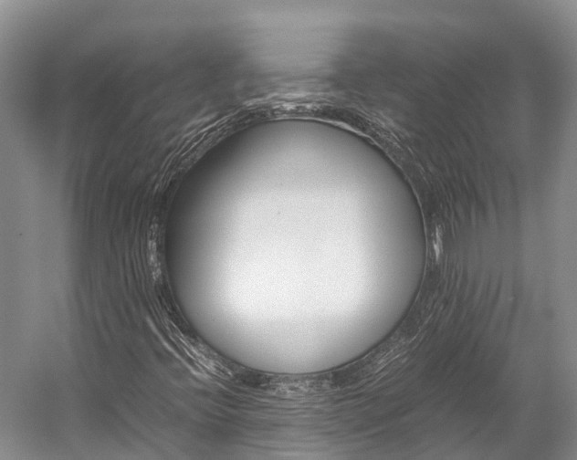 X0000059231396200510140814
