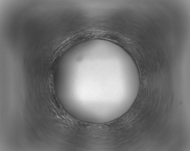 X0000059231397200510140814
