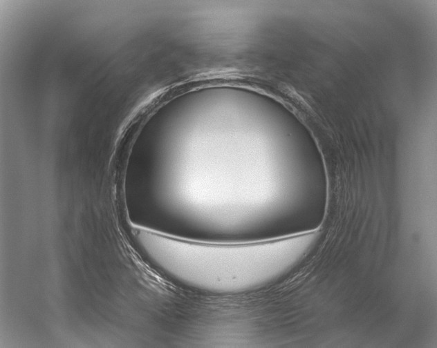 X0000059231406200510140814