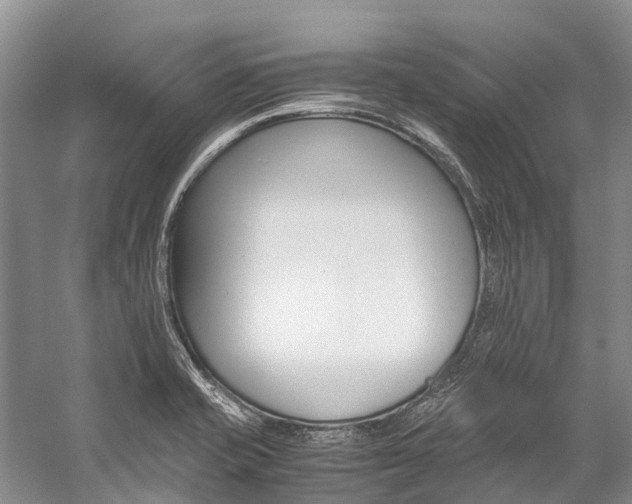 X0000059231421200510140814