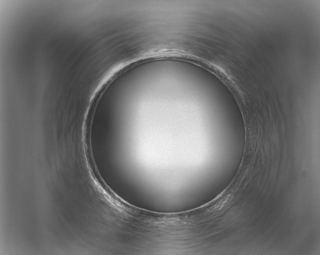 X0000059231422200510140814