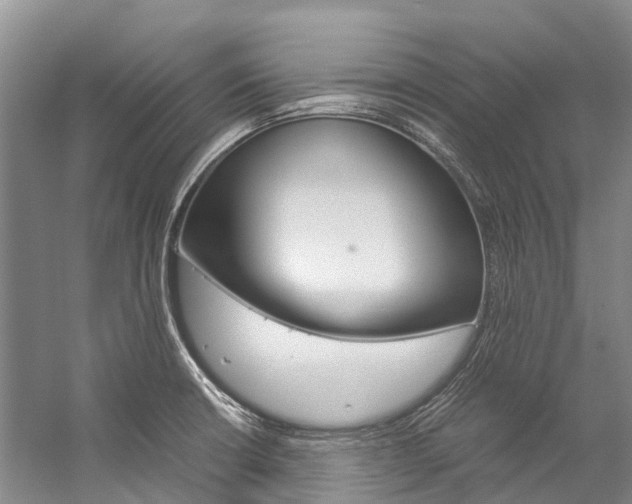 X0000059231426200510140814