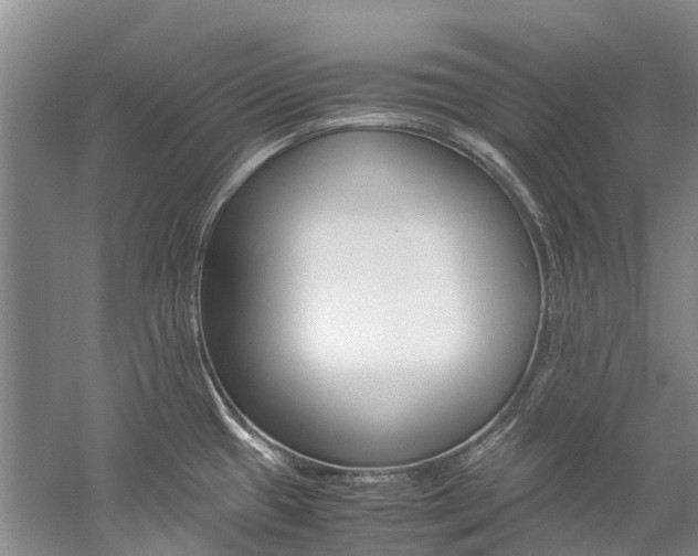 X0000059231433200510140814