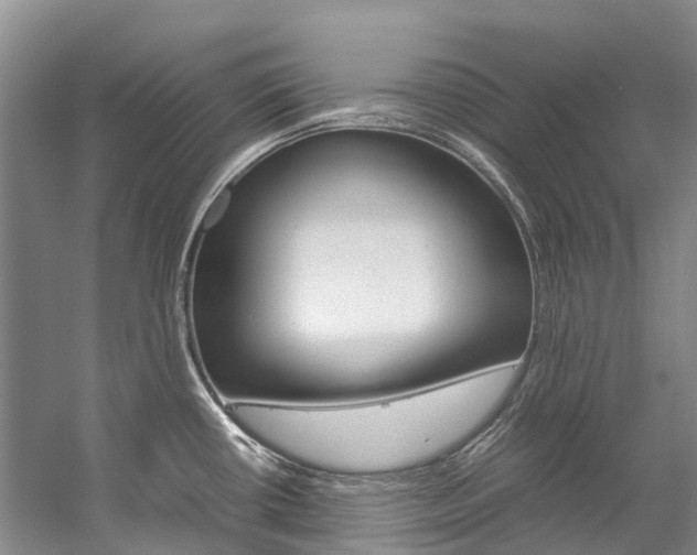 X0000059231434200510140814