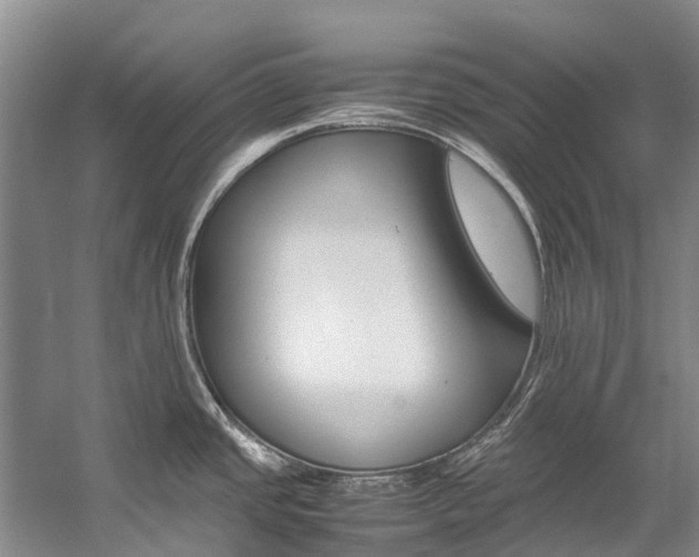 X0000059231437200510140815