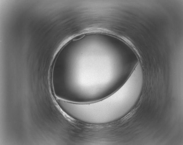 X0000059231438200510140815