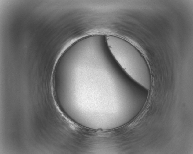 X0000059231440200510140815