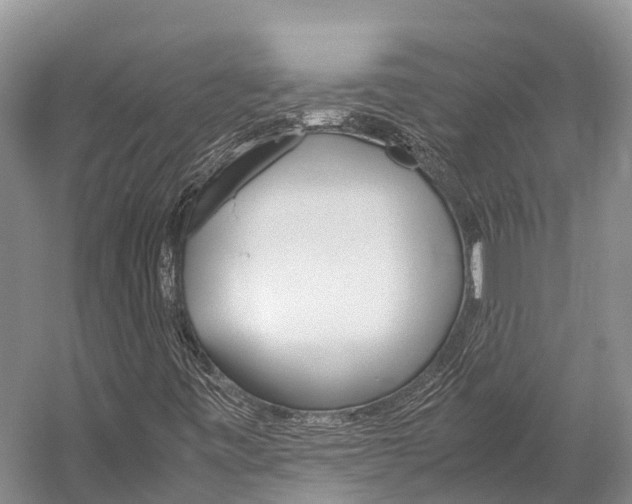 X0000059231443200510140814