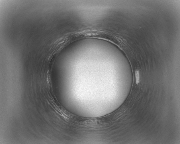 X0000059231444200510140814