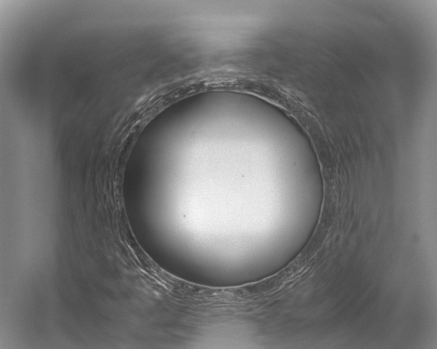 X0000059231445200510140814