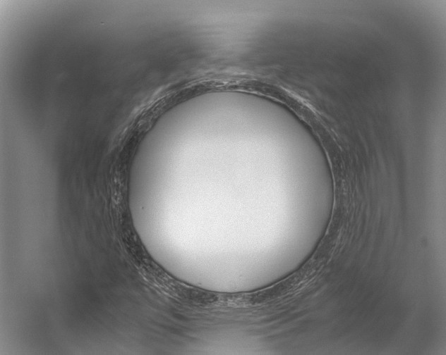 X0000059231447200510140814
