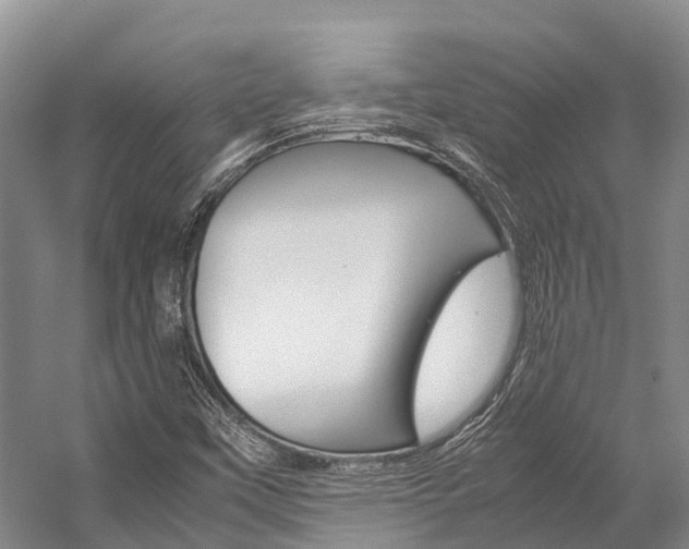 X0000059231451200510140814