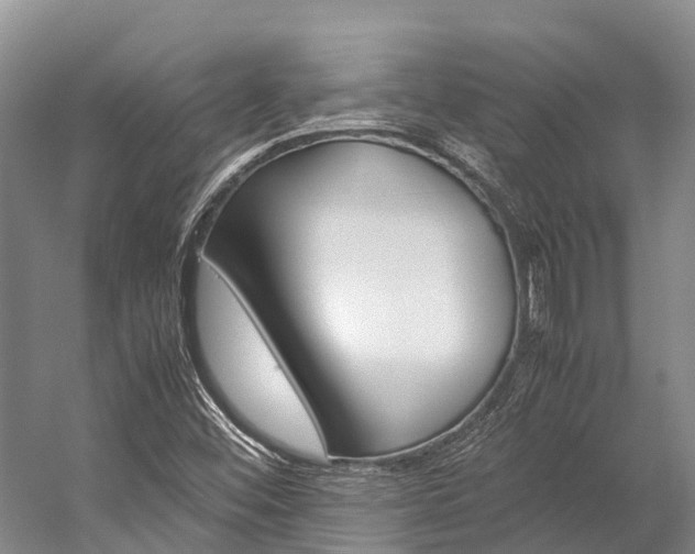 X0000059231452200510140814