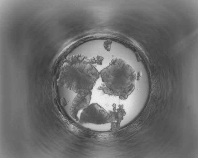 X0000059231456200510140813
