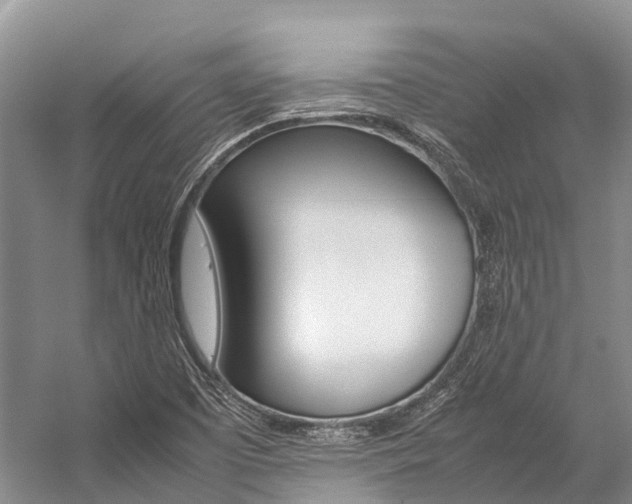 X0000059231457200510140813