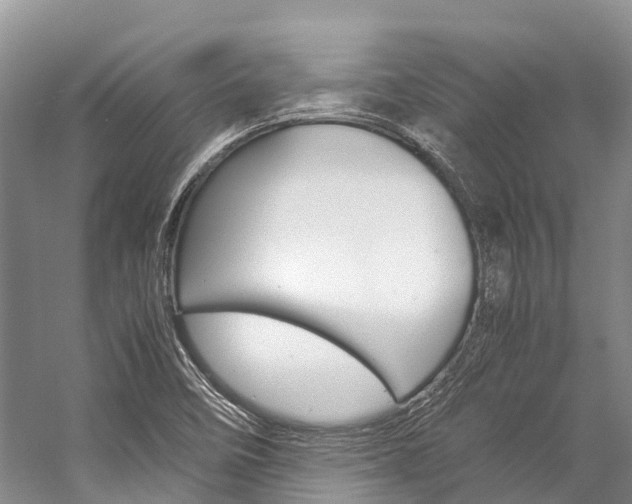 X0000059231458200510140813