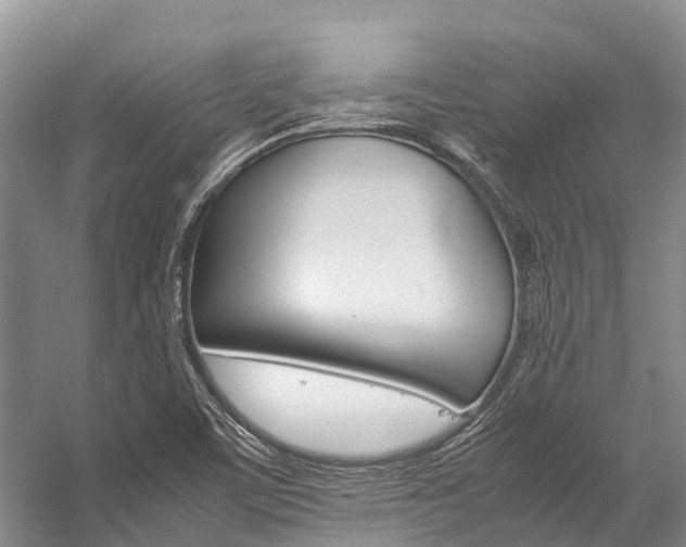 X0000059231459200510140813