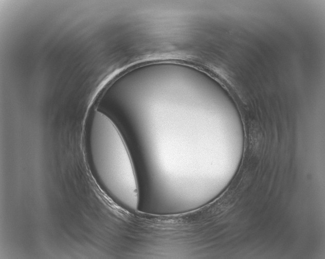 X0000059231460200510140813