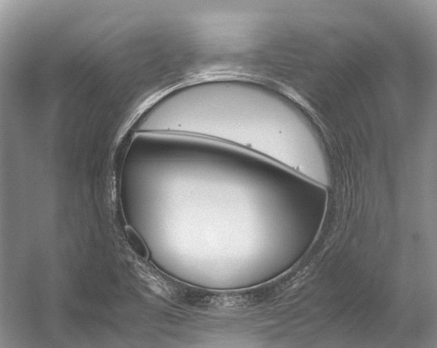 X0000059231461200510140813