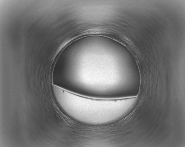 X0000059231465200510140813