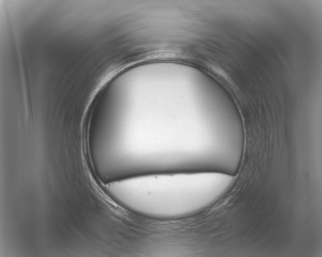 X0000059231467200510140813
