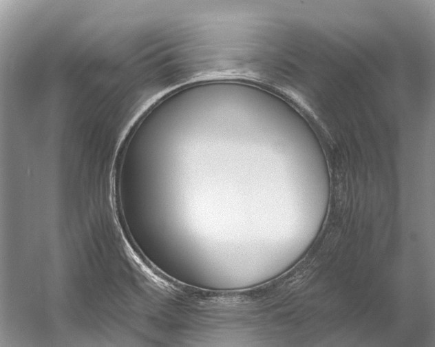 X0000059231468200510140813