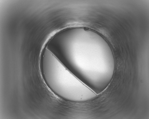 X0000059231472200510140813