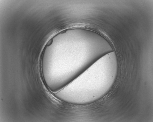 X0000059231475200510140813