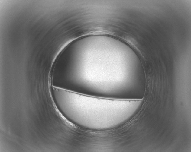 X0000059231476200510140813