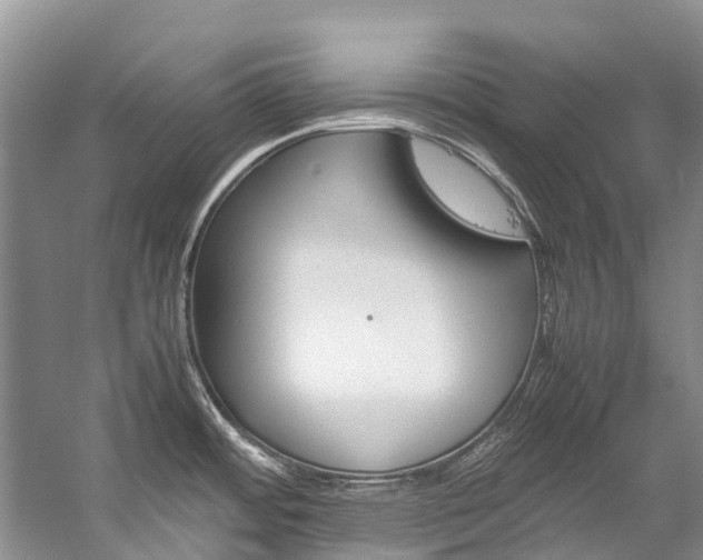 X0000059231484200510140813
