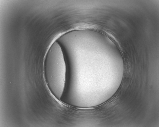 X0000059231487200510140813