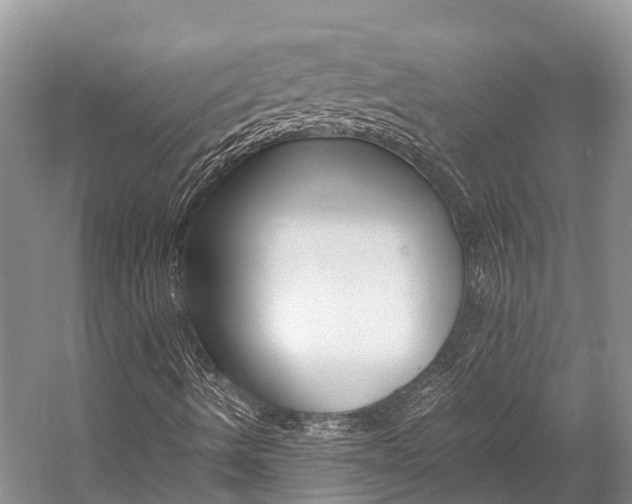 X0000059231490200510140812