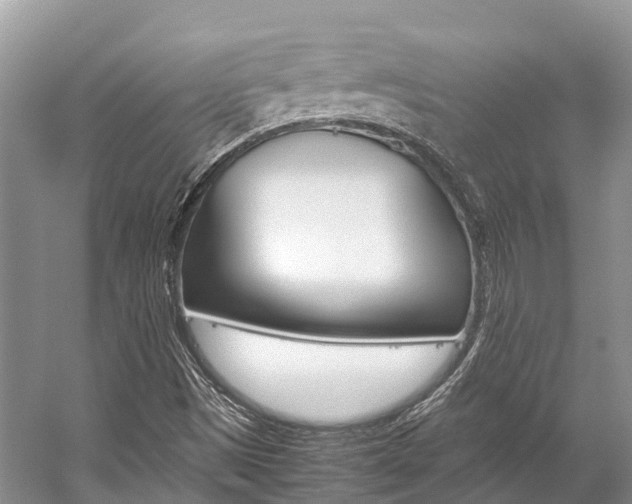 X0000059231497200510140812
