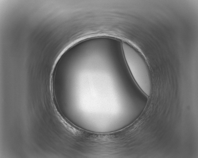 X0000059231516200510140813