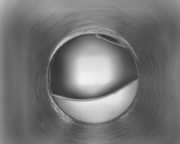 X0000059231530200510140813