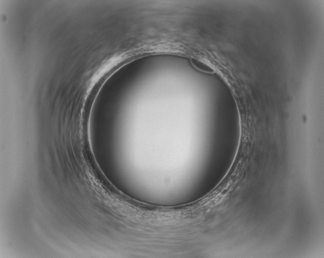 X0000059230008200510141049