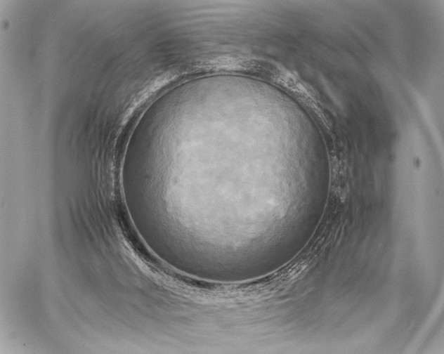 X0000059230012200510141049