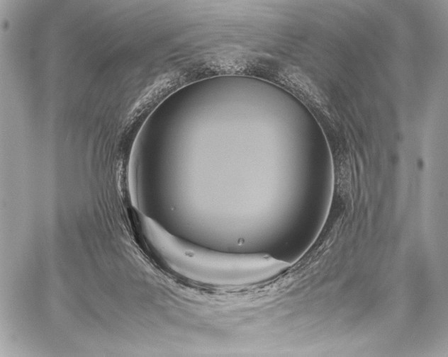 X0000059230023200510141049