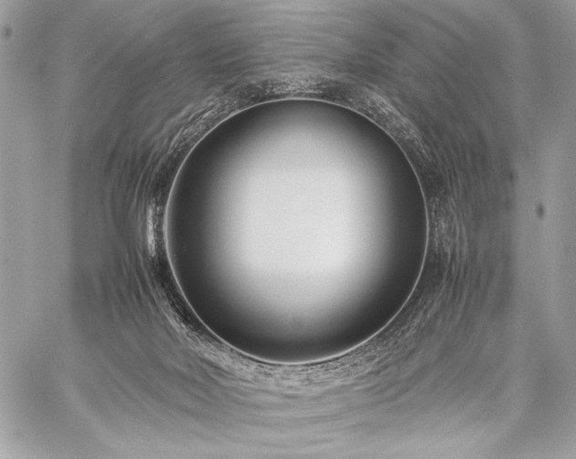 X0000059230026200510141049