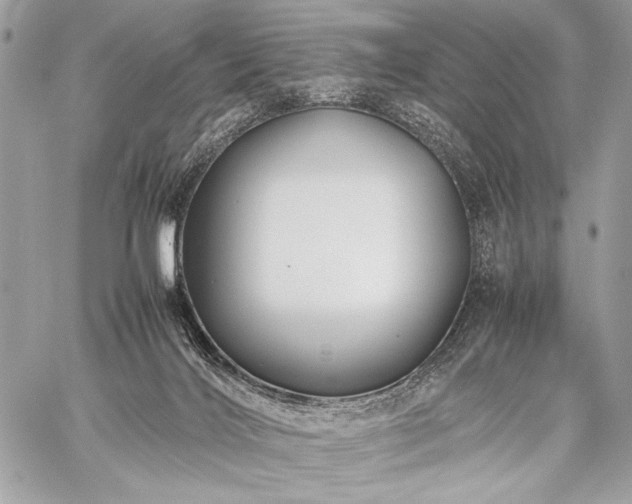 X0000059230028200510141049