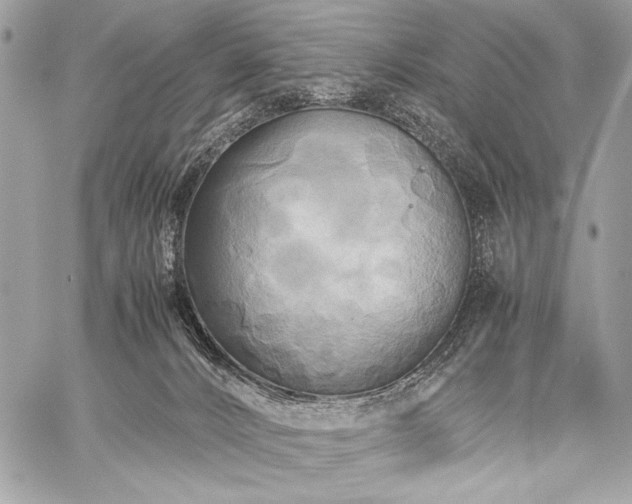 X0000059230032200510141049