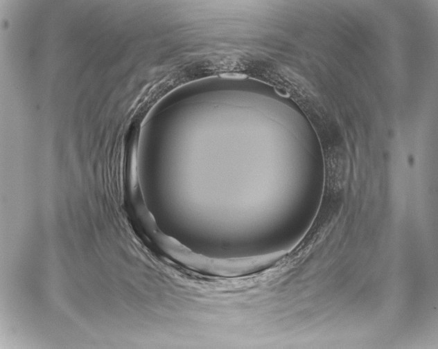 X0000059230035200510141049
